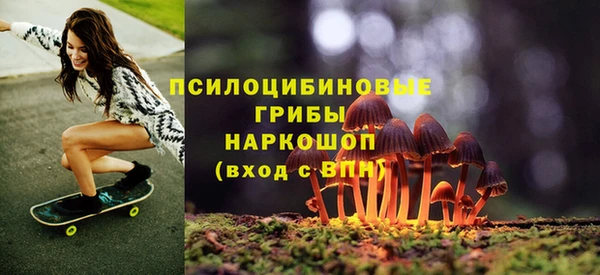 СК Абинск