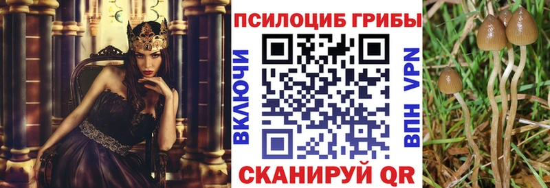 Псилоцибиновые грибы Magic Shrooms  Зерноград 